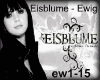 Eisblume - Ewig