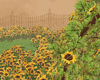 !D Sunflower Garden