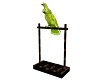 Animated Talking Parrot