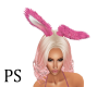 Sexy Bunny Ears