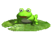 Anim Frog n Lily Pad