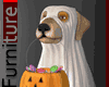 Halloween Dog