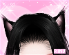 Kitty black ears