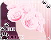 [Pets] Vida | rose shldr