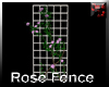 poseless rose fench