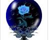 Blue Rose Globe