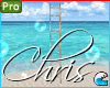 🏠 Beach Ladder