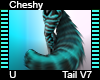 Cheshy Tail V7
