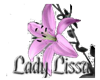 LadyLissa(lily)