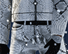 Pants Python Leather