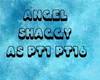 SHAGGY ANGEL DUB