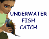 UNDERWATER  FISH  CATCH