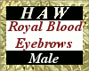 Royal Blood Eyebrows - M