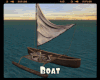 *Boat