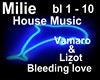 Vamaro - Bleeding Love