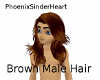 Brown Male Hair