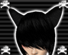 ~D~Cat Black Ears