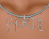 Silver Shortie Necklace