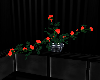 {J} Table Roses