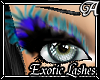 !A! Exotic Eyelashes