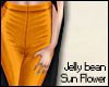 -JB- sun flower O*