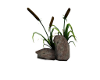 Animated Cattail & Rock