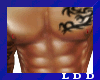 LDD-Nip Rings Male RED