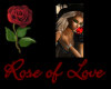 The Rose Krem