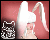 ♏| Albino Bunny Ears