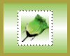green rose stamp