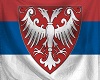 Nemanjic grounded flag