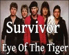 Survivor-EyeOfTheTiger