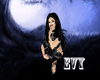 Evy's Banner
