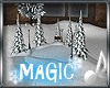*4aS* Magic Skating Pond