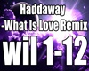 Haddaway-What Is LoveMix