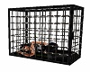 captive cage