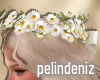 [P] Romantic daisy crown