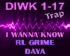 I Wanna Know - RL Grime