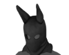 V61.1 &acirc;��