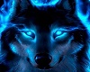 Midnight Blue Wolf