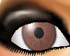 Brown Female Eyes
