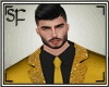 [SF]Golden Suit