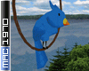 Bluebird on a Hoop