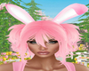 Diva Bunny Pink Ombre