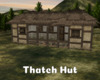 *Thatch Hut