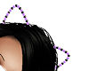 Kitty Cat Kitten Ears 2
