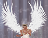 * White Angel Wings