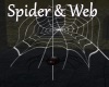 [BD] Spider & Web