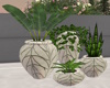 J|Decorative Plant Set