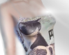 gatito